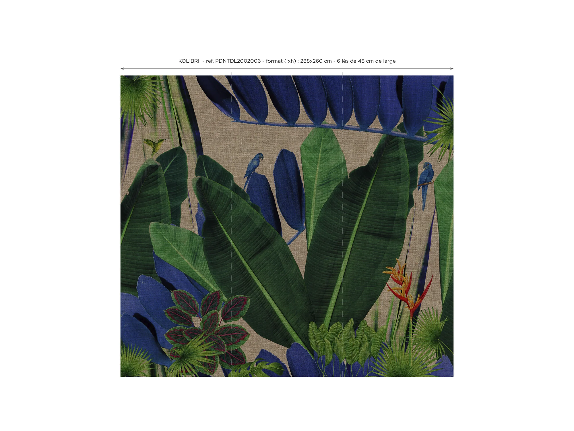 Image du produit 8